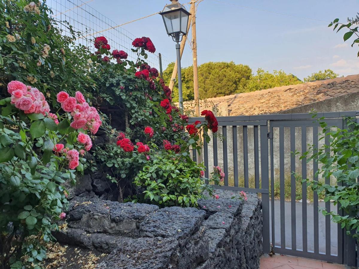 Villa Martina Mascalucia Exterior photo